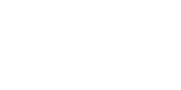 Mesh Size